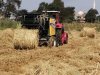 الزراعة: جمع وتدوير أكثر من 575 ألف طن قش الأرز