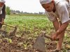 وزير الزراعة: "الفلاح المصري" له دور هام في تحقيق الأمن الغذائي المصري