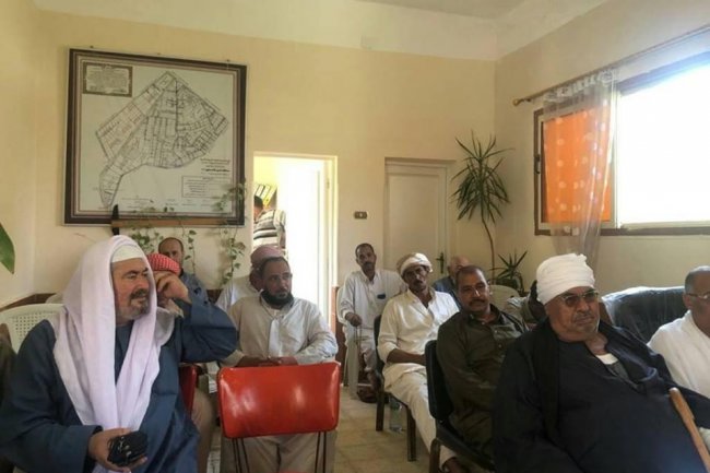 "الزراعة" تطلق برنامج ارشادي تدريبي للنهوض بانتاجية بنجر السكر بالإسكندرية والدقهلية