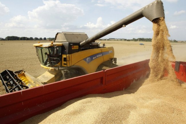 "الزراعة الأمريكية" تتوقع إستيراد مصر لـ 13 مليون طن قمح وبتراجع طفيف عن الموسم الماضي 