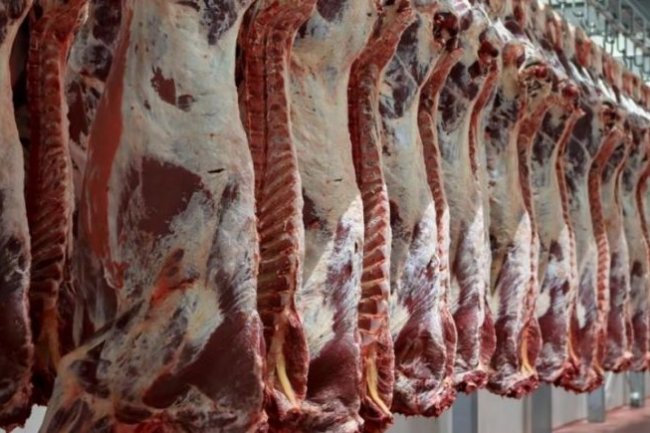 "الزراعة" توافق على استمرار اعتماد المجازر الروسية لشهادة "الحلال"