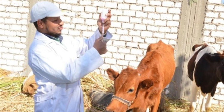 "الزراعة" :ورشة عمل إقليمية لتعزيز الخدمات البيطرية في شمال إفريقيا