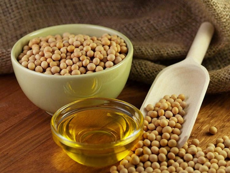 7 شركات محلية تفوز بتوريد 47.5 ألف طن زيت صويا لصالح السلع التموينية
