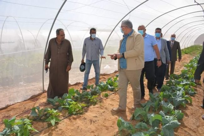 وزيرا الزراعة والري ومحافظ الوادي الجديد يتفقدون بعض المشروعات الزراعية وتحديث الري بالمحافظة 