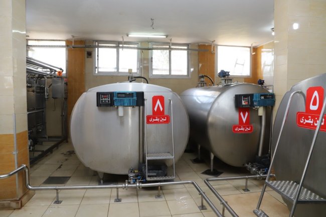 القصير : تمويل وإقراض أصحاب مراكز تجميع الألبان ضمن مبادرة البنك المركزى 5%