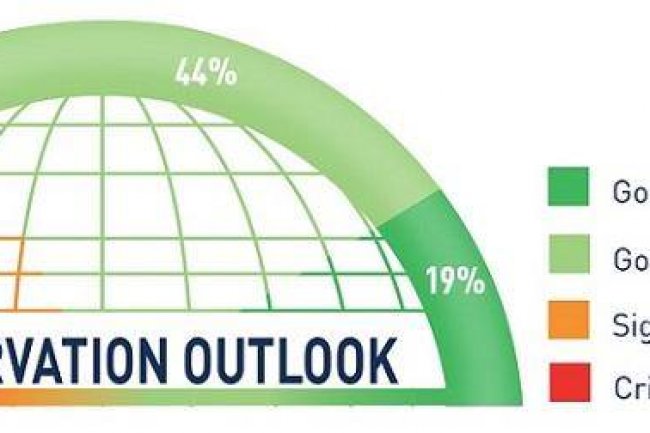 "البيئة" : إشادة عالمية بموقع وادى الحيتان والقائمين عليه