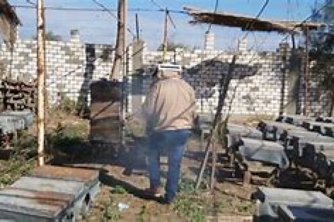 الزراعة : دورة تدريبية حول كيفية إنشاء منحل كمشروع إنتاجى صغير 