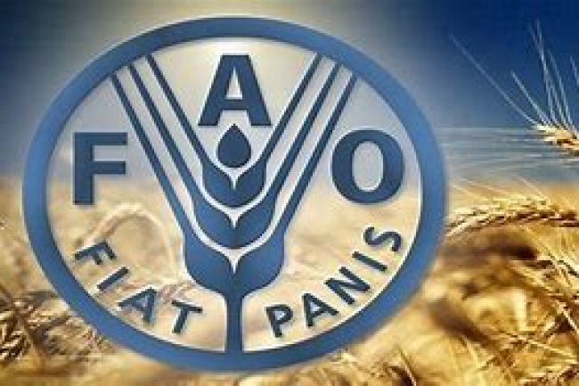 رويترز : مؤشر الغذاء العالمي يصل لمستوى تاريخي في 2020