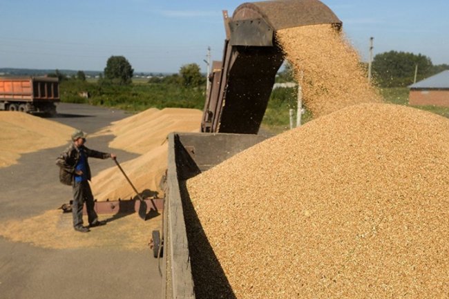 ملف : إرتفاع صادرات كندا والإتحاد الأوربي والهند وتراجع روسيا والأرجنتين