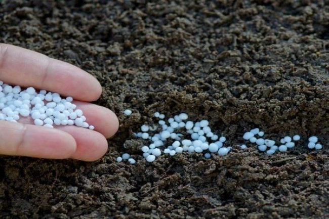 استمرار فرض رسوم صادر على الأسمدة الأزوتية بواقع 250 جنيه للطن لمدة عام