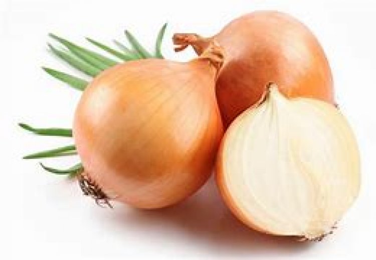  فتح السوق الاندونيسي أمام البصل المصري للمرة الأولي 