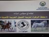  مجلس أمناء محطة الزهراء للخيول العربية يجتمع لاول مرة  لرفع كفاءتها وتعظيم قيمتها الاقتصادية 