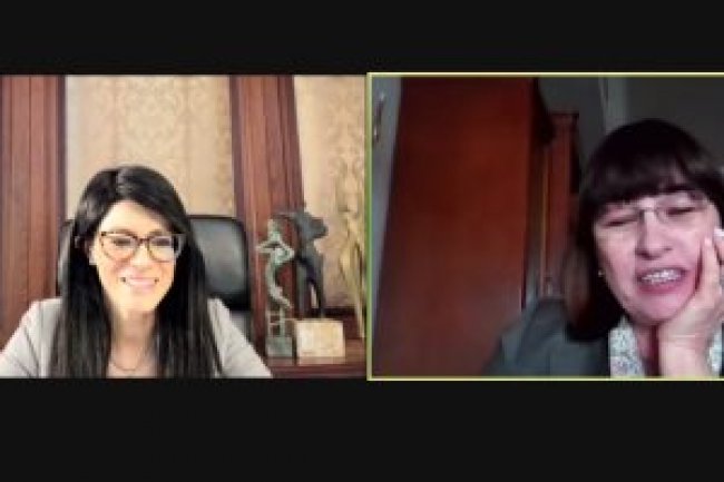 المشاط: وفرنا 9.8 مليار دولار تمويلات للمشروعات التنموية خلال 2020