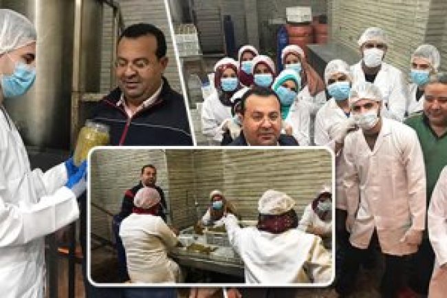 الزراعة : معهد الصحة الحيوانية ينظم ورش عمل في 9 محافظات حول منتجات الألبان