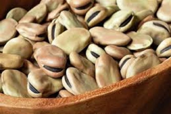 توقعات بإستمرار تراجع أسعار "الفول" رغم إرتفاع الطلب إستعداداً لشهر رمضان