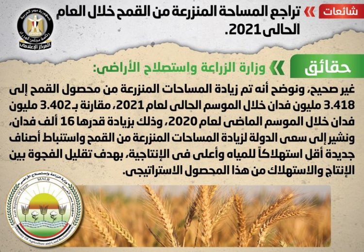 الزارعة تنفى تراجع المساحة المنزرعة من القمح خلال العام الحالي 2021