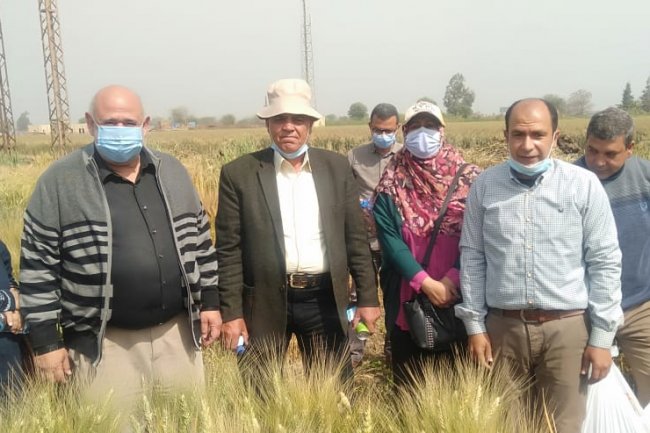 ""بحوث أمراض النباتات يقدم تقريرا عن نشاط المعهد خلال شهر مارس خلال شهر مارس 