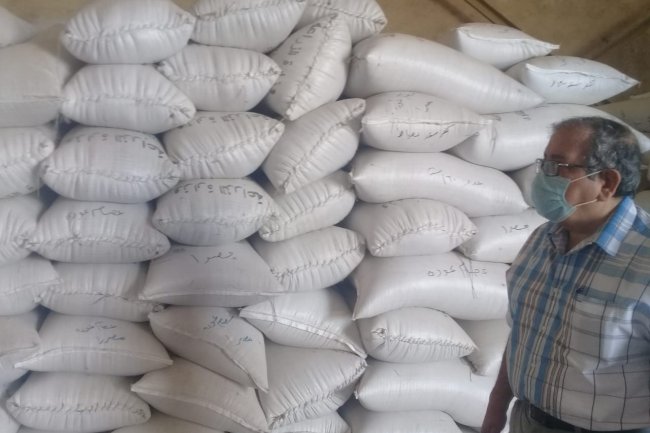 "الزراعة" :  استمرار العمل بمحطات التقاوي على مستوى الجمهورية