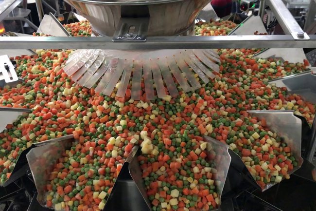 "راية القابضة" تؤسس شركة جديدة للتصنيع الغذائي برأس مال 5 ملايين جنيه 