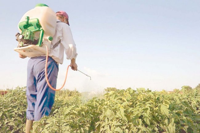 "الزراعة": التفتيش على 212 مركز بيع وتداول الادوية واللقاحات البيطرية في 13 محافظة 