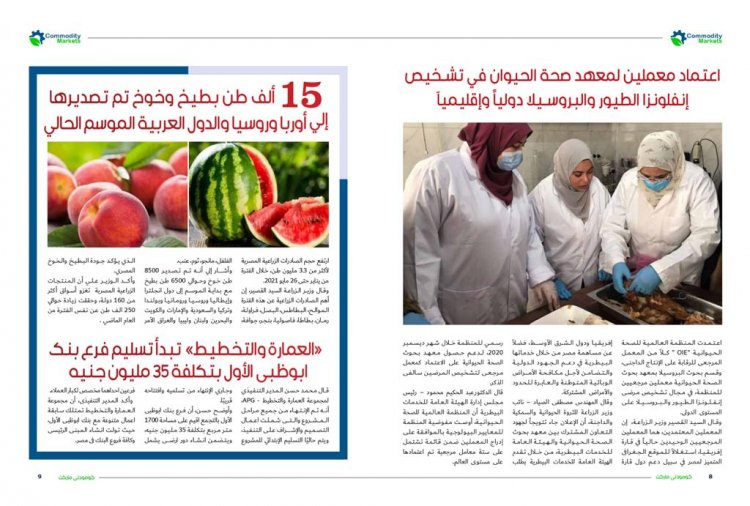 اقرأ فى العدد الجديد من كومودتى ماركت