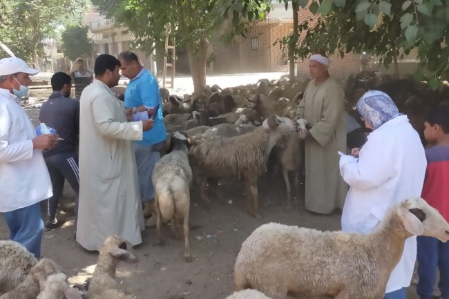 إطلاق 110 قافلة بيطرية مجانية خلال 5 اشهر على مستوى الجمهورية لعلاج اكثر من 85 الف رأس ماشية و32 الف طائر