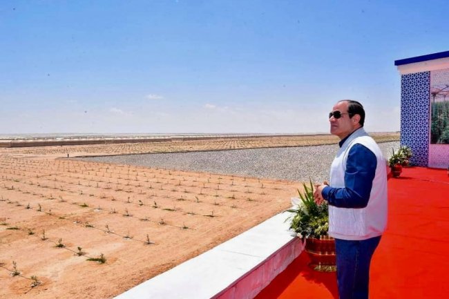 الزراعة :تنفيذ حوالي 320 مشروعا زراعيا تكلفت أكثر من 40 مليار جنيه خلال 7 سنوات 