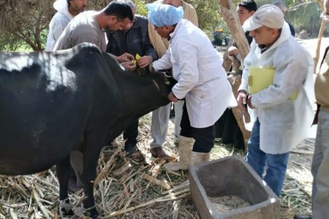 القصير: الوزارة تمتلك افضل المعامل المعتمدة دوليا ونقدم كافة اوجة الرعاية البيطرية 