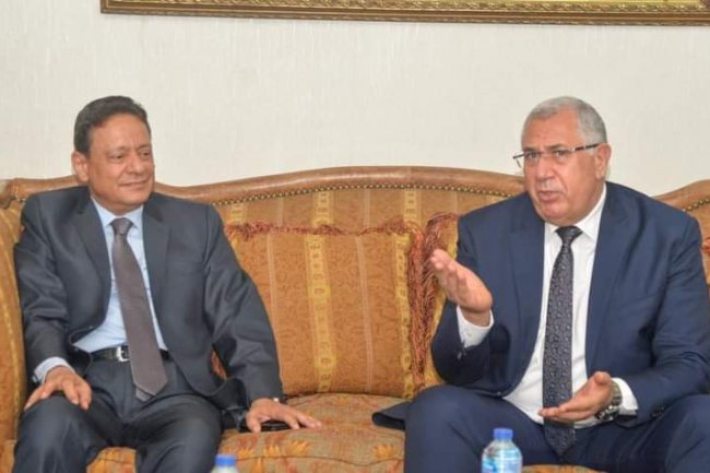 33 مليار جنيه حجم صادرات الزراعة في عام و11 سوقا عالمية جديدة