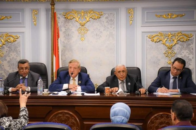 التخطيط تستعرض جهود تطبيق خطط وموازنات البرامج  أمام مجلس النواب 