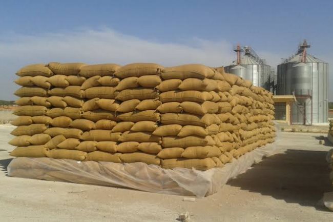 "غرفة الحبوب" المشروع القومي للصوامع ساهم في الحد من فاقد الاقماح