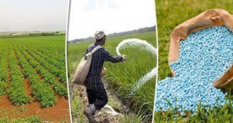 العربي للأسمدة : نساهم بثلث تجارة العالم من الأسمدة ورسخنا مكانتنا في السوق العالمية