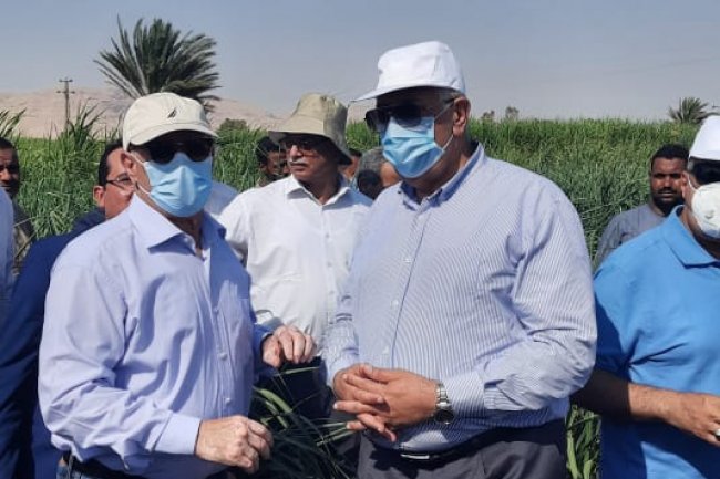 وزير الزراعة ومحافظ الأقصر يتفقدان حقل زراعة القصب بالشتلات والتنقيط 