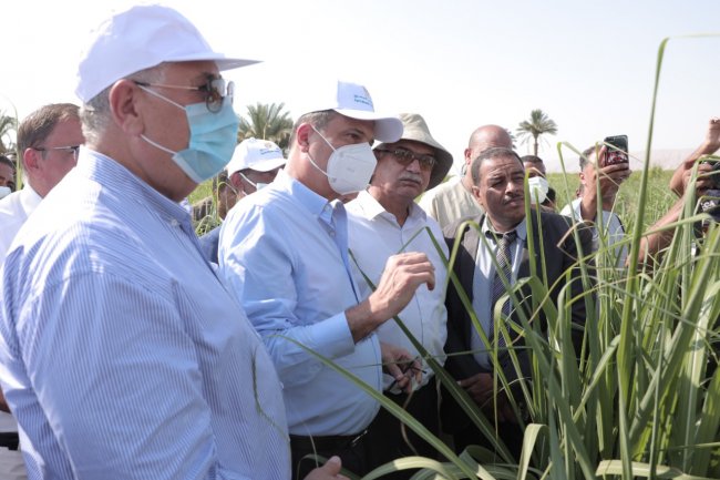 البنك الزراعي يطلق مبادرة لتمويل تكاليف إنشاء حقول استرشادية للري الحديث بمحافظات الصعيد