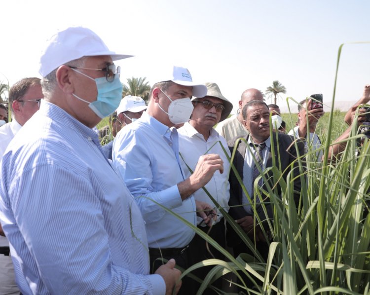البنك الزراعي يطلق مبادرة لتمويل تكاليف إنشاء حقول استرشادية للري الحديث بمحافظات الصعيد