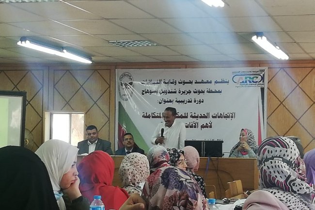 وقاية النباتات ينظم دورة تدريبية عن المكافحة المتكاملة للآفات الزراعية ب سوهاج