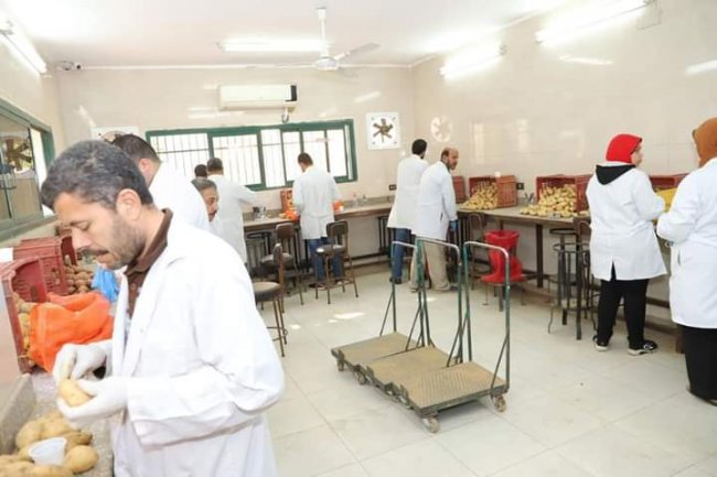 «الزراعة » تواصل فحص تقاوي البطاطس المحلية استعدادا للموسم الجديد 