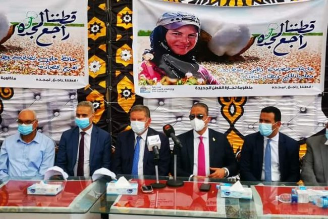 «قطاع الأعمال» نستهدف إستعادة عرش القطن المصري عالمياً