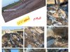 "الزراعة" تواصل إزالة التعديات على الأراضي الزراعية وإحالة المخالفين إلى النيابة العسكرية