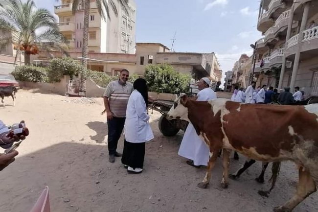 « بحوث الصحة الحيوانية»  يشارك فى قوافل طبية مجانية
