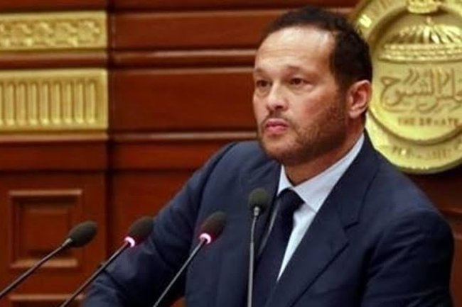 حلاوه : الجمهورية الجديدة تنطلق نحو المستقبل بمؤسسات ثابتة