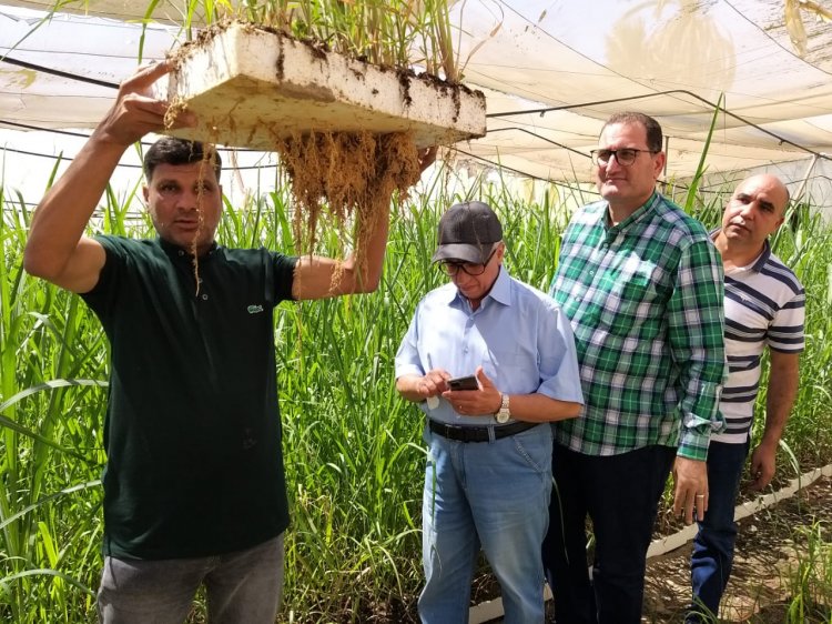 الزراعة تواصل متابعة أصولها في محافظتي قنا والأقصر وتتابع جهود تحديث الري ومكافحة دودة الحشد 