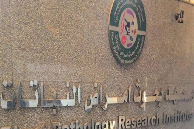 «الزراعة» تعلن حصاد انشطة معهد بحوث أمراض النباتات خلال شهر أكتوبر