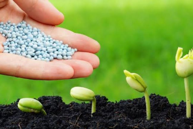 طلب إحاطة للحكومة بالوقف الفوري لصادرات الأسمدة وتوفيرها بالسوق المحلي أولًا 