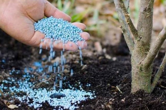 أبو جبل: تضاعف أسعار الغاز في أوروبا 3 مرات وراء أزمة الأسمدة العالمية 