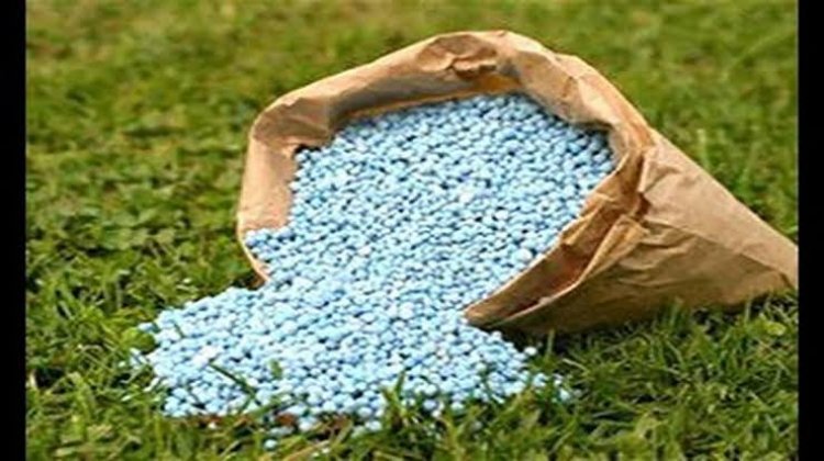 شراكة بين «مصر»و« إيطاليا» لإقامة مشروع استثماري لصناعة الأسمدة