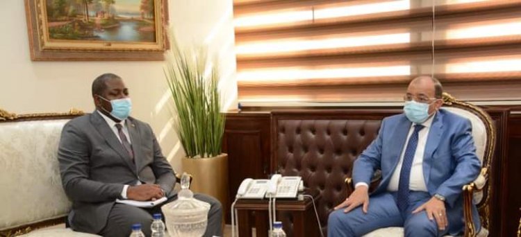 مصر تبحث مع  الكاميرون التعاون المشترك  في  «صناعة الأخشاب والأثاث»