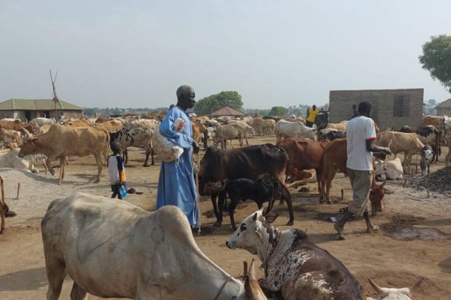 وفد «الزراعة» لمتابعة  الحالة الصحية  للثروة الحيوانية ب« جنوب السودان»
