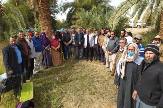 «وقاية النباتات» يكثف الحملات الإرشادية لمكافحة سوسة النخيل الحمراء