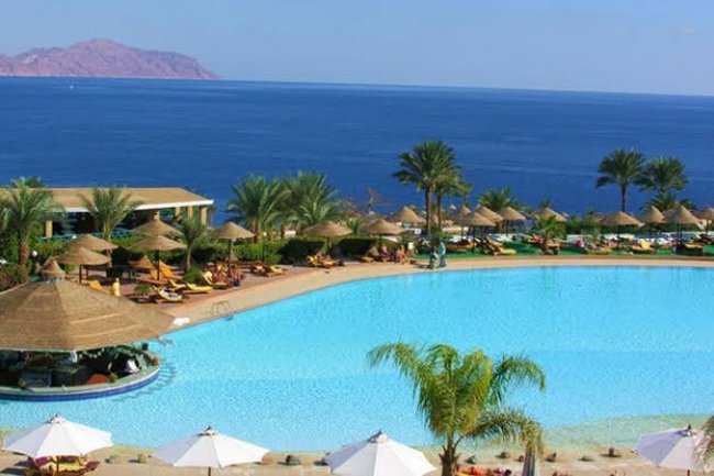 استمرار قرار عدم  إنشاء شركات سياحية جديدة لمدة عام